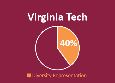 Diversity Representation 40%