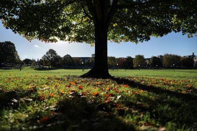 Fall on campus