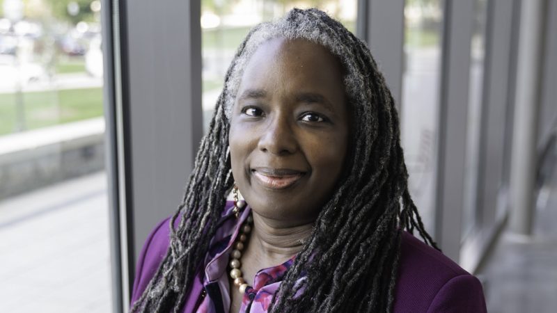 Vice President for Strategic Affairs and Vice Provost for Inclusion and Diversity Menah Pratt Clarke